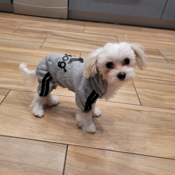 Dog Clothes, Hoodies Sweatshirt, Clothes for Small Dogs - Picture 3 of 4